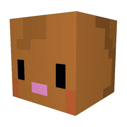 ParadoxXXIV Minecraft avatar head, 3D render