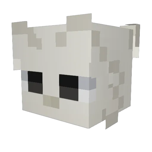 Paradox_Lvl37 Minecraft avatar head, 3D render