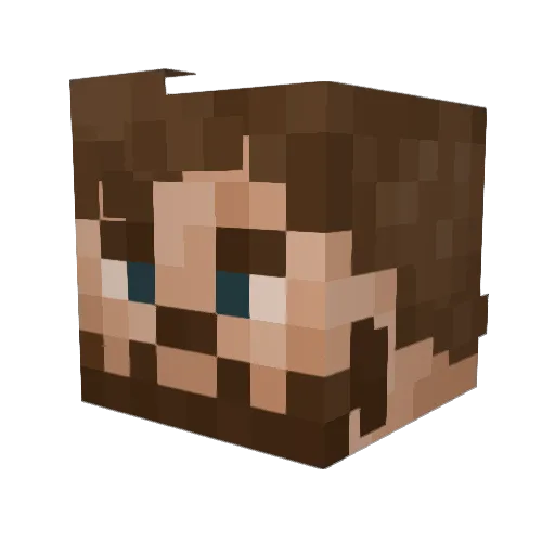 Paradoxe99 Minecraft avatar head, 3D render