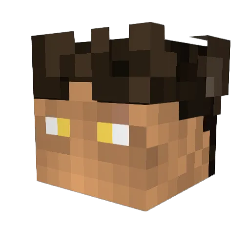 Paradoxfusion98 Minecraft avatar head, 3D render