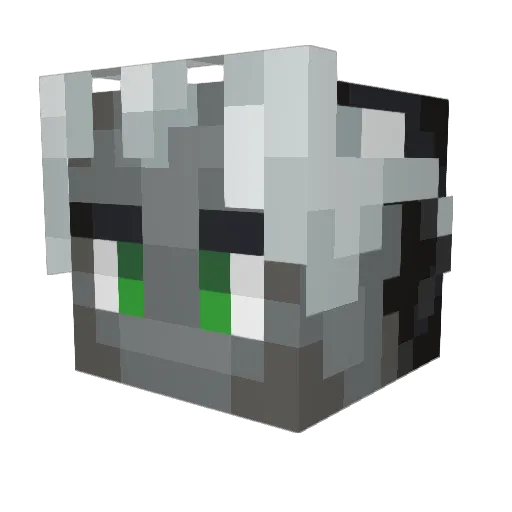 ParadoxicalSage Minecraft avatar head, 3D render