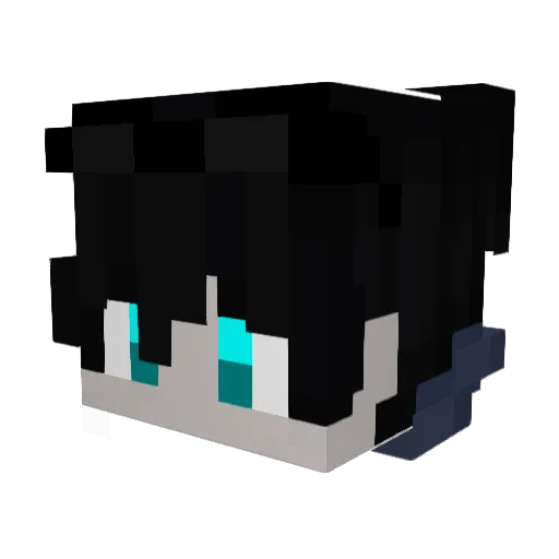 Paradoxozin Minecraft avatar head, 3D render