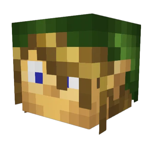 Paraflier Minecraft avatar head, 3D render