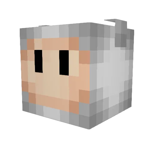 Paragon816 Minecraft avatar head, 3D render