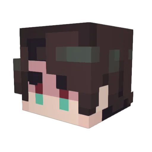 ParagonPlus Minecraft avatar head, 3D render