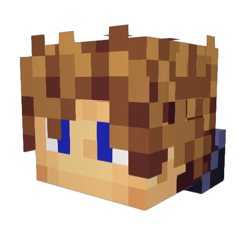 Paragon_1 Minecraft avatar head, 3D render