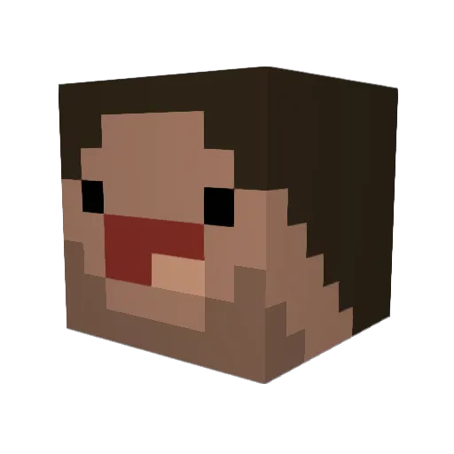 Paragota Minecraft avatar head, 3D render
