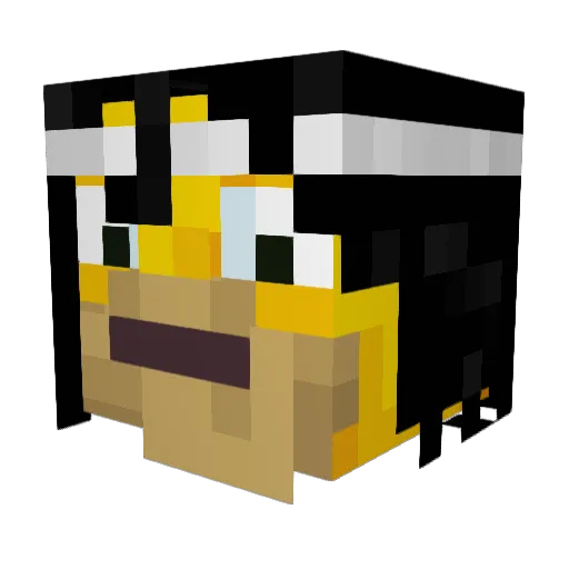 Paraguay1hyea Minecraft avatar head, 3D render