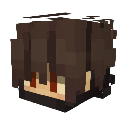 Parajule Minecraft avatar head, 3D render