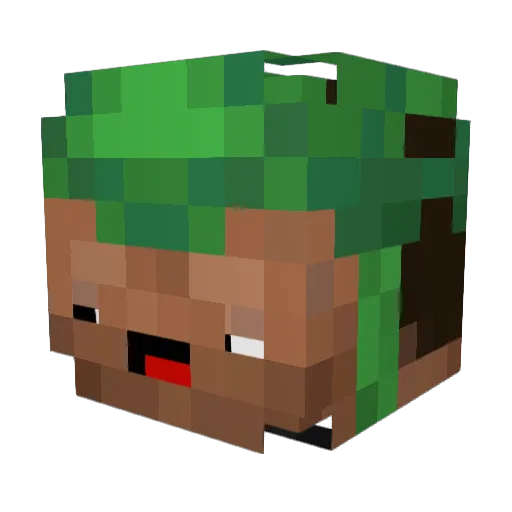 Paralimb Minecraft avatar head, 3D render