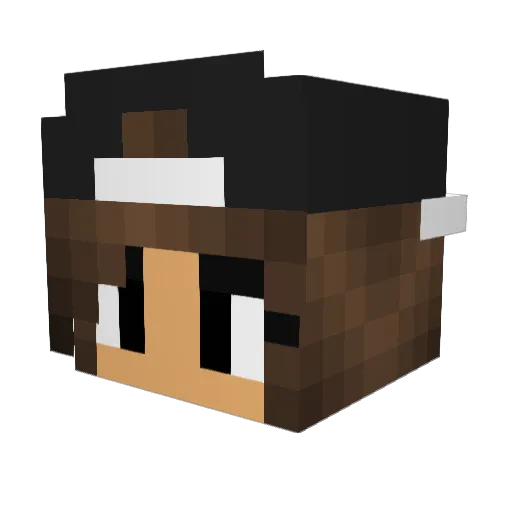 Parallace Minecraft avatar head, 3D render
