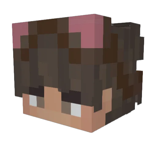 Parallel737 Minecraft avatar head, 3D render