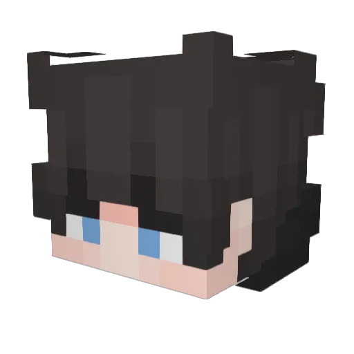 Parallix Minecraft avatar head, 3D render