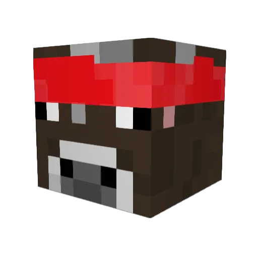 Paralusuz Minecraft avatar head, 3D render