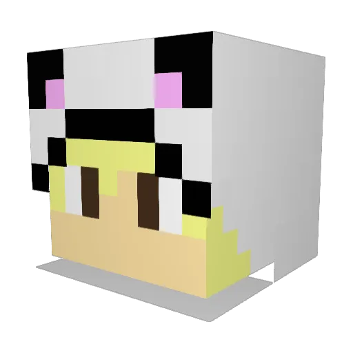 Paralysing Minecraft avatar head, 3D render