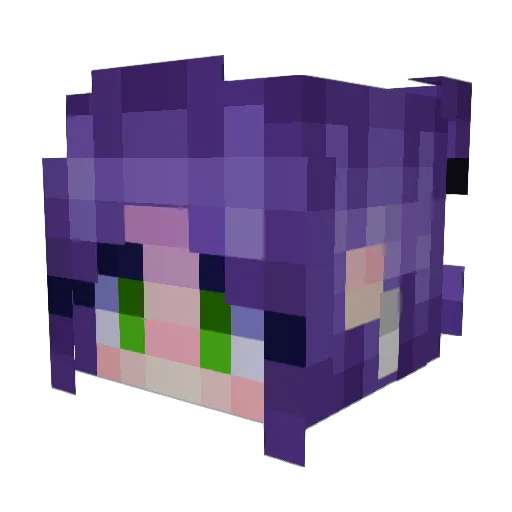 Paramaticx Minecraft avatar head, 3D render