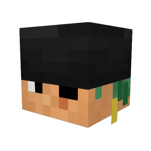 ParamoreEnjoyer Minecraft avatar head, 3D render