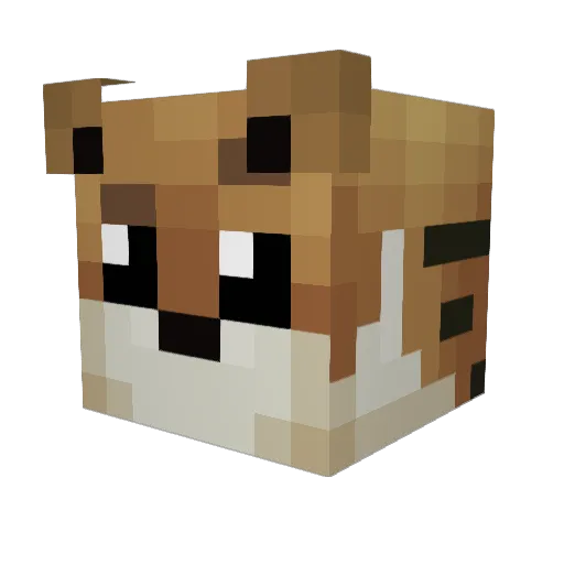 Parandoxa Minecraft avatar head, 3D render