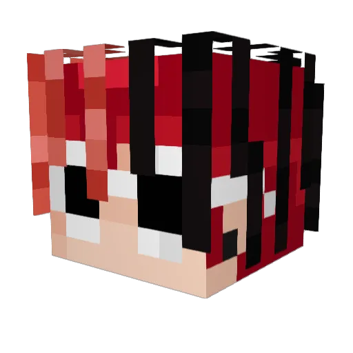 Paranguinha_ Minecraft avatar head, 3D render