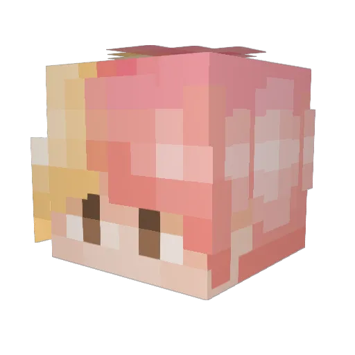 Paranjeet Minecraft avatar head, 3D render