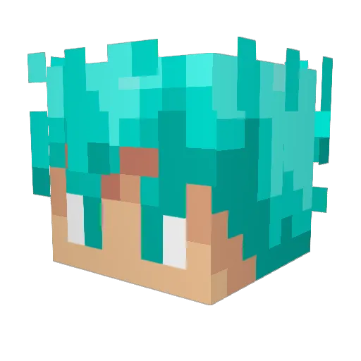 Paranoia8873 Minecraft avatar head, 3D render