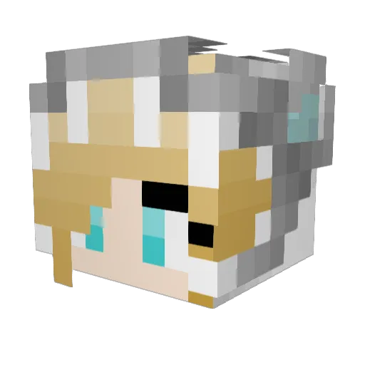 ParanoiaCat Minecraft avatar head, 3D render