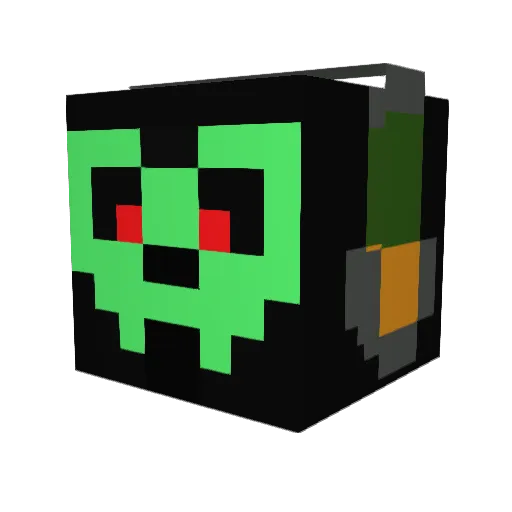 ParanoicznaLama Minecraft avatar head, 3D render