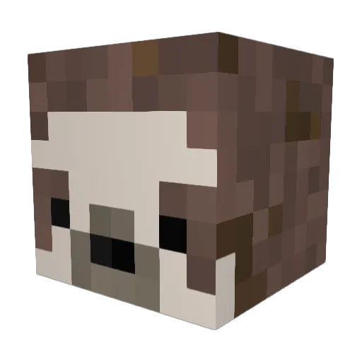 ParanoidBill Minecraft avatar head, 3D render