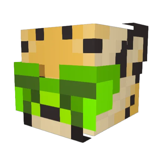 ParanoidFuzz Minecraft avatar head, 3D render