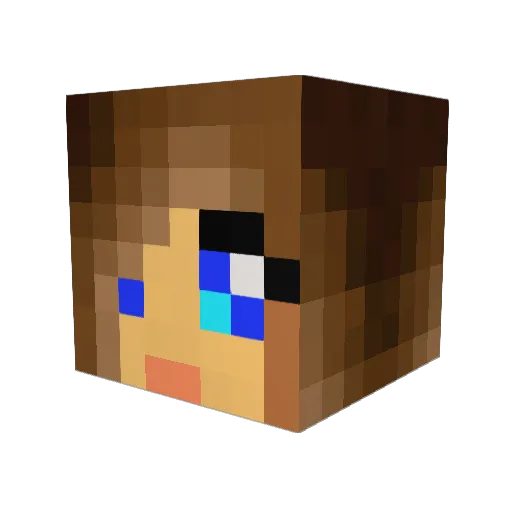 ParanoidMiner5 Minecraft avatar head, 3D render