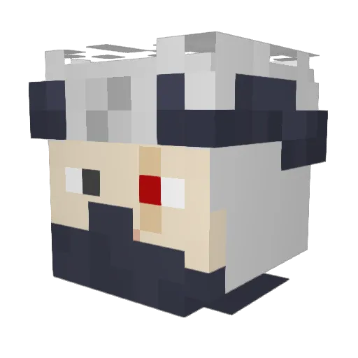 Paranomalicz Minecraft avatar head, 3D render