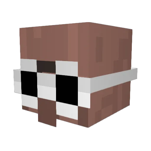 Paranos Minecraft avatar head, 3D render