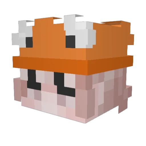 Paranoxal Minecraft avatar head, 3D render