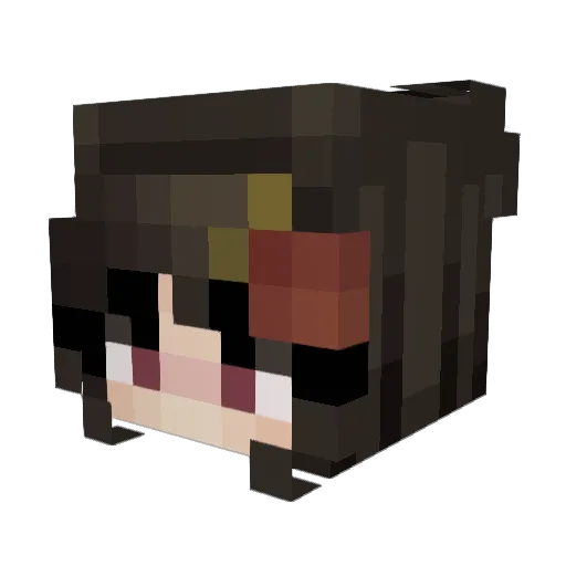 Paraphrazer Minecraft avatar head, 3D render