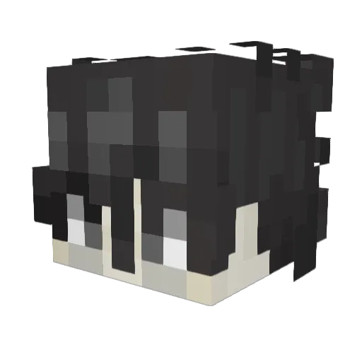 Paraply_liam67 Minecraft avatar head, 3D render