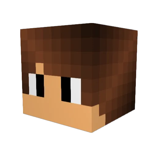 Parapouco Minecraft avatar head, 3D render