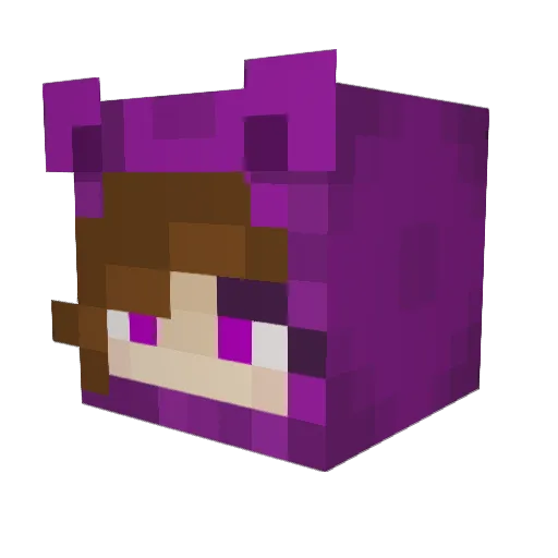 Parasil23 Minecraft avatar head, 3D render