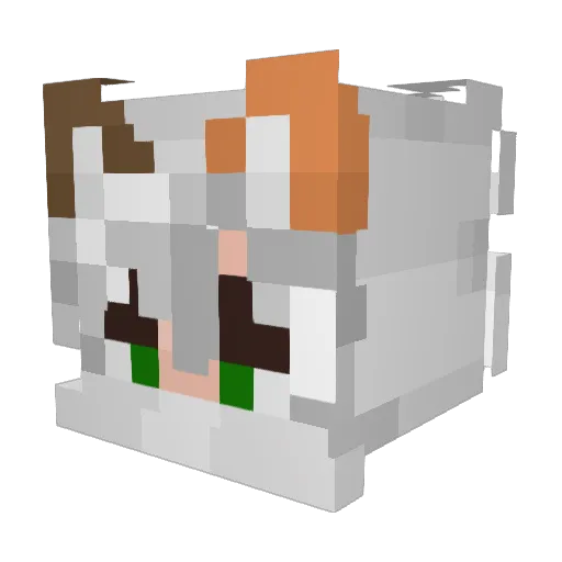 ParasiteCharly Minecraft avatar head, 3D render