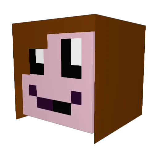 Parasol123 Minecraft avatar head, 3D render
