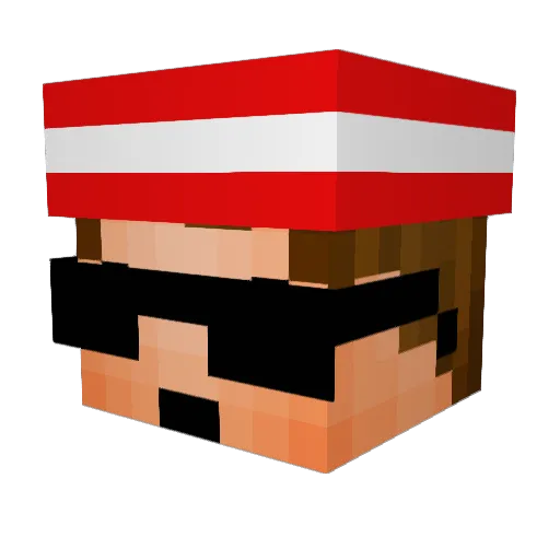 Paratotis Minecraft avatar head, 3D render
