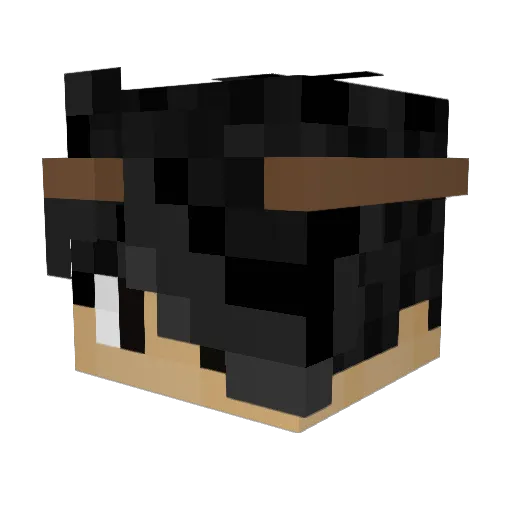 Parboiled Minecraft avatar head, 3D render