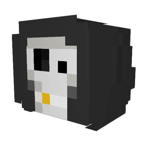 ParchKiwi Minecraft avatar head, 3D render