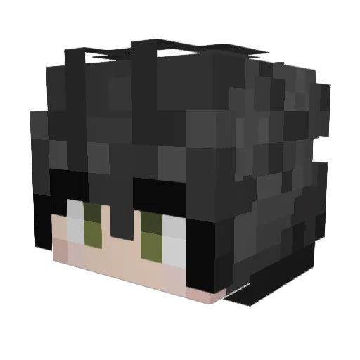 ParchmentDragon Minecraft avatar head, 3D render