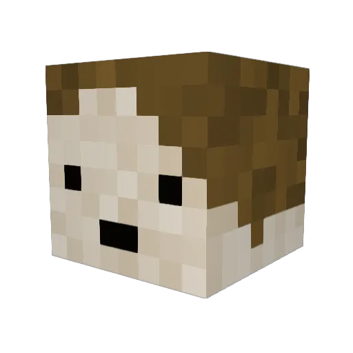 Parchuno Minecraft avatar head, 3D render