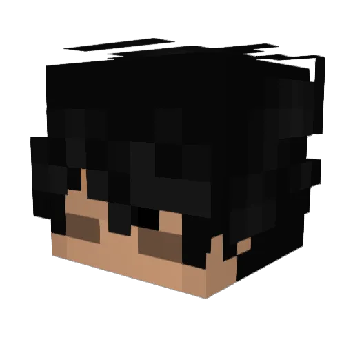 Parcivalplays02 Minecraft avatar head, 3D render