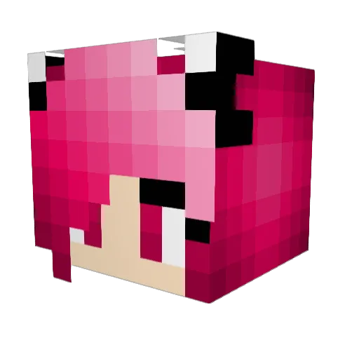 Parcolam Minecraft avatar head, 3D render