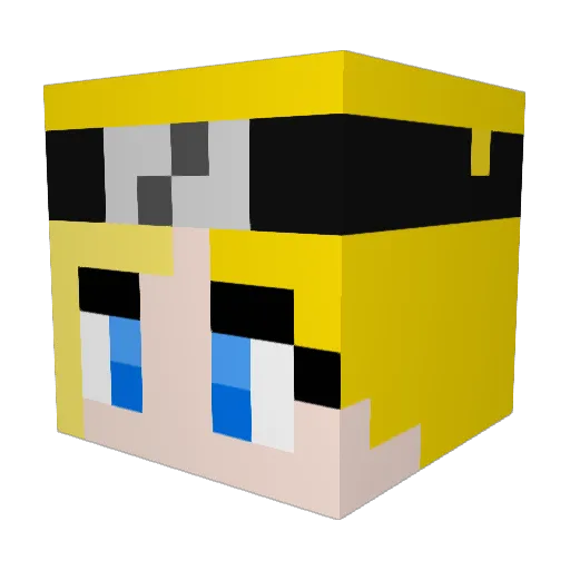 Pardal216 Minecraft avatar head, 3D render