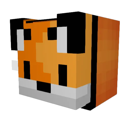 Pardemil17 Minecraft avatar head, 3D render