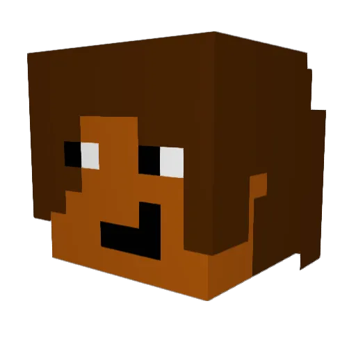 Pardhaan Minecraft avatar head, 3D render