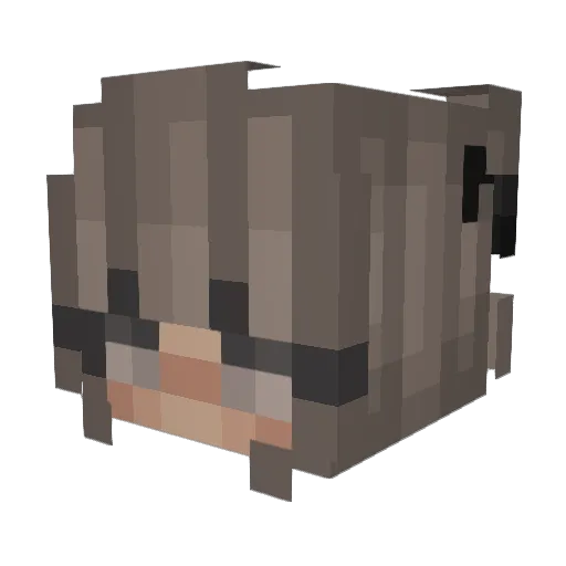PardiMaja Minecraft avatar head, 3D render